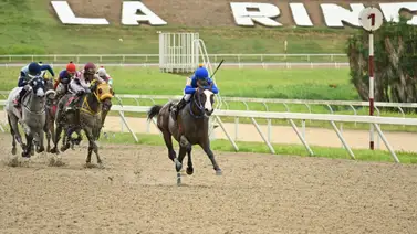Potro que tiene por bueno en su cuadra ajusta “clavo” para la carrera Potro que tiene por bueno en su cuadra ajusta “clavo” para la carrera