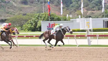 Caballo que no es favorito ajusta bien y pudiera ser la sorpresa de la tarde en La Rinconada Caballo que no es favorito ajusta bien y pudiera ser la sorpresa de la tarde en La Rinconada