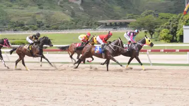 Yegua que hace su debut ajusta bien y puede sorprender a una de las líneas del 5y6 Yegua que hace su debut ajusta bien y puede sorprender a una de las líneas del 5y6