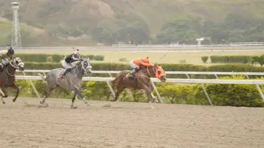 Así ajusta este ejemplar que de ganar sería el batacazo del 5y6 de la reunión 36 Así ajusta este ejemplar que de ganar sería el batacazo del 5y6 de la reunión 36