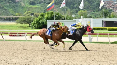 Mira ajuste de El de Froix para el Clásico Internacional “Jockey Club de Venezuela” (GI)