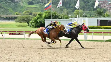 Mira ajuste de El de Froix para el Clásico Internacional “Jockey Club de Venezuela” (GI) Mira ajuste de El de Froix para el Clásico Internacional “Jockey Club de Venezuela” (GI)