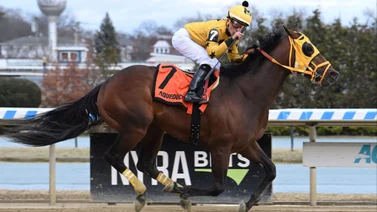 Irad Ortiz Jr gana en yunta con Juan Carlos Ávila con caballo de grandeliga venezolano