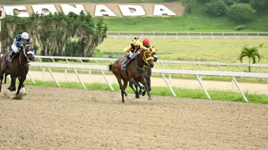 Así ajusta este ejemplar que es el dato de "los vivitos" para el cierre del 5y6 dominical Así ajusta este ejemplar que es el dato de "los vivitos" para el cierre del 5y6 dominical