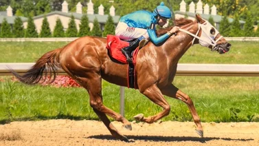 Jockey venezolano duplica triunfos y pasa al cuarto lugar en la estadística del meeting