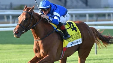 Aquí el Best Bet y el Pick Six para Belmont At The Big A viernes 20-09-2024
