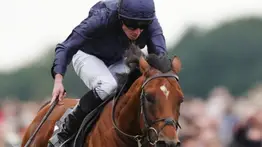 Así trabajó el mejor caballo del mundo para la Breeders´Cup Classic