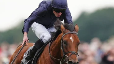 Así trabajó el mejor caballo del mundo para la Breeders´Cup Classic