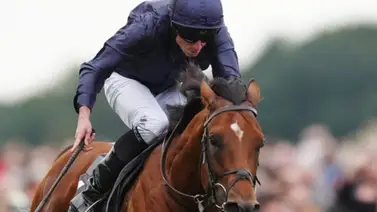 Así trabajó el mejor caballo del mundo para la Breeders´Cup Classic Así trabajó el mejor caballo del mundo para la Breeders´Cup Classic