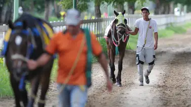 Retirada una de las líneas de la reunión 36 de La Rinconada Retirada una de las líneas de la reunión 36 de La Rinconada