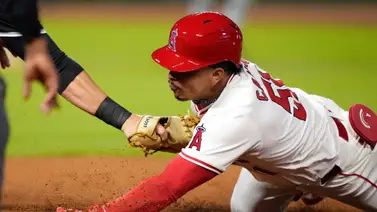 LVBP: Bravos de Margarita añade un grandeliga a su importación (+Video) LVBP: Bravos de Margarita añade un grandeliga a su importación (+Video)