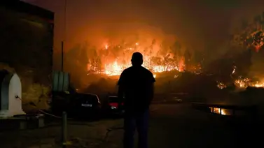 Incendios en Portugal arrasaron casi 95.000 hectáreas en cinco días Incendios en Portugal arrasaron casi 95.000 hectáreas en cinco días