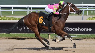 Jockey venezolano se anota triplete de victorias y es el más destacado en Gulfstream Park