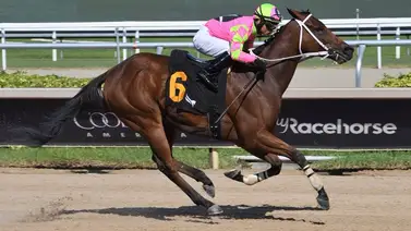 Jockey venezolano se anota triplete de victorias y es el más destacado en Gulfstream Park Jockey venezolano se anota triplete de victorias y es el más destacado en Gulfstream Park
