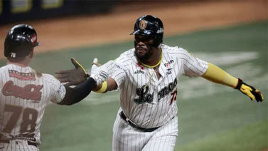 LVBP : Este es el calendario de Leones del Caracas para la temporada 2024-25