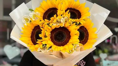 ¿Conocías el significado de regalar flores amarillas el 21 de septiembre?