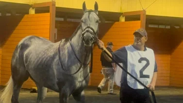 Irad Ortiz Jr. y Roses For Debra ganaron en tiempo récord stakes de Grado en Estados Unidos