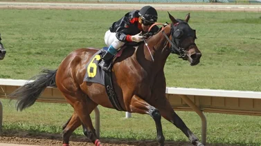 Jockey venezolano gana con su única monta en este hipódromo