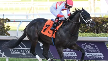 Irad Ortiz Jr. y José Francisco D´Angelo ganaron el Gallant Bob (G2) con el potro Bentornato