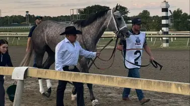 Seize The Grey se creció en el Pensilvania Derby de $1.000.000 Seize The Grey se creció en el Pensilvania Derby de $1.000.000