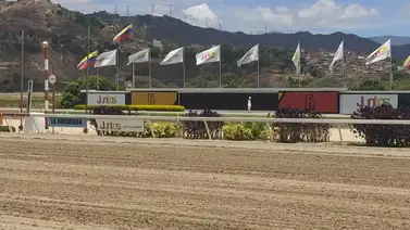Estos son los retirados de la Reunión N°36 en La Rinconada 22-09-2024 Estos son los retirados de la Reunión N°36 en La Rinconada 22-09-2024