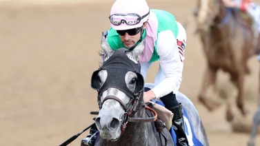 Junior Alvarado se anota en tiempo récord con Batten Down stakes de $300.000