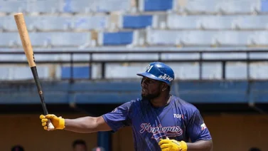 LVBP: Conoce a todos los importados de Magallanes para la venidera zafra (+lista)