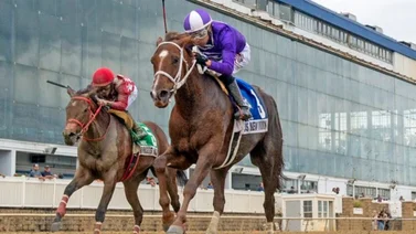 Daniel Centeno gana su sexto Stakes del año con Jorge Delgado en este hipódromo