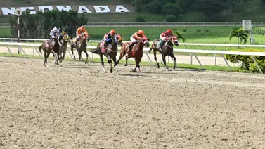 Son 7 los jockeys que fueron multados por esta razón en La Rinconada Son 7 los jockeys que fueron multados por esta razón en La Rinconada