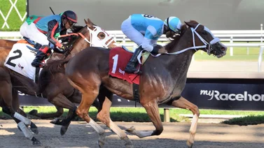 Jockey campeón venezolano gana 5 carreras al incursionar en Gulfstream Park