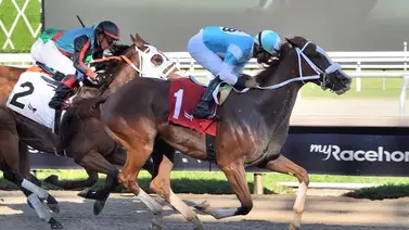 Venezolanos dominan la jornada del domingo en Gulfstream Park Venezolanos dominan la jornada del domingo en Gulfstream Park