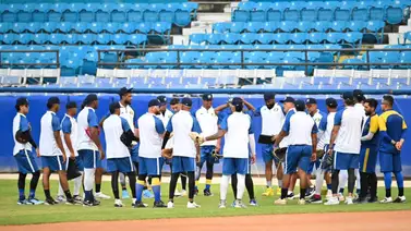 LVBP: Magallanes inicia sus entrenamientos repleto de caballos LVBP: Magallanes inicia sus entrenamientos repleto de caballos