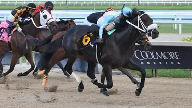 Entrenador venezolano impone nuevo récord en carreras clásicas en Estados Unidos Entrenador venezolano impone nuevo récord en carreras clásicas en Estados Unidos