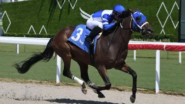 Sonny León con fin de semana espectacular en Gulfstream Park Sonny León con fin de semana espectacular en Gulfstream Park