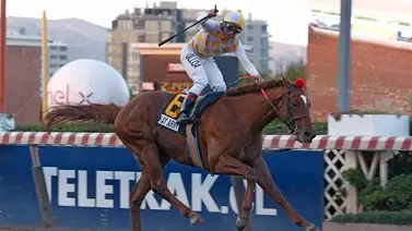 Junior Alvarado montará triple coronado chileno que debuta en Estados Unidos Junior Alvarado montará triple coronado chileno que debuta en Estados Unidos