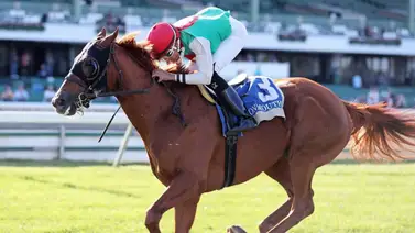 Samuel Marín va esta semana por stakes de Grado con cupo a la Breeders Cup Samuel Marín va esta semana por stakes de Grado con cupo a la Breeders Cup