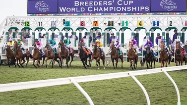 Cinco Stakes clasificatorios a la Breeders' Cup 2024 se correrán este sábado