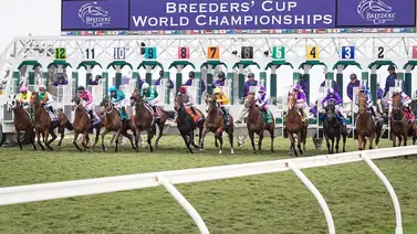 Cinco Stakes clasificatorios a la Breeders' Cup 2024 se correrán este sábado Cinco Stakes clasificatorios a la Breeders' Cup 2024 se correrán este sábado