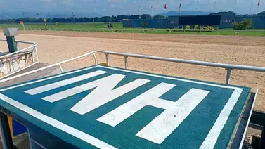 Reunión 19 de HINAVA tiene ocho carreras y una selectiva Reunión 19 de HINAVA tiene ocho carreras y una selectiva