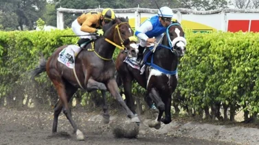 Albajat es el nuevo triple coronado del hipismo en Ecuador en el 2024