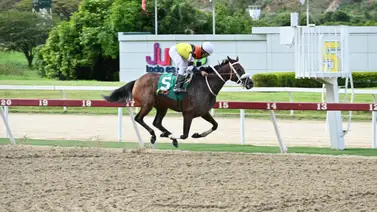 Daniela Runner por la revancha contra Ambrosia en el XXIV Clásico “Hípica Nacional” (GI) Daniela Runner por la revancha contra Ambrosia en el XXIV Clásico “Hípica Nacional” (GI)