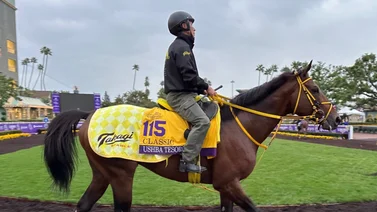 Ushba Tesoro corre este miércoles antes de su participación en la Breeders’ Cup