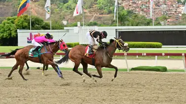 Ejemplares del Stud “La Vieja II” estrenan nuevo entrenador Ejemplares del Stud “La Vieja II” estrenan nuevo entrenador