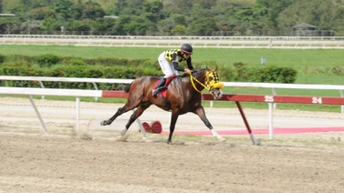 Reaparece ejemplar figurador de la Copa Velocidad del Caribe 2023 este domingo en La Rinconada 
