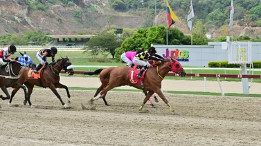 Hija de la campeona Money River regresa a la pista luego de 147 días sin correr  