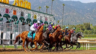 Estos son los cinco Stakes que se correrán el sábado en Santa Anita Park
