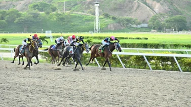 Potra de gran pedigree que no tuvo un buen debut regresa a la pista luego de 70 días sin correr