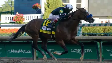 Hija de un ganador del Kentucky Derby que costó $700.000 busca su primera victoria este sábado Hija de un ganador del Kentucky Derby que costó $700.000 busca su primera victoria este sábado