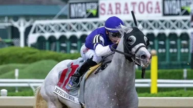 Estas son las 13 montas y tres Stakes de Junior Alvarado de este fin de semana 