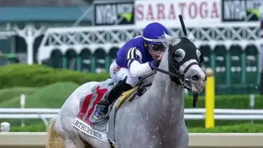 Estas son las 13 montas y tres Stakes de Junior Alvarado de este fin de semana Estas son las 13 montas y tres Stakes de Junior Alvarado de este fin de semana